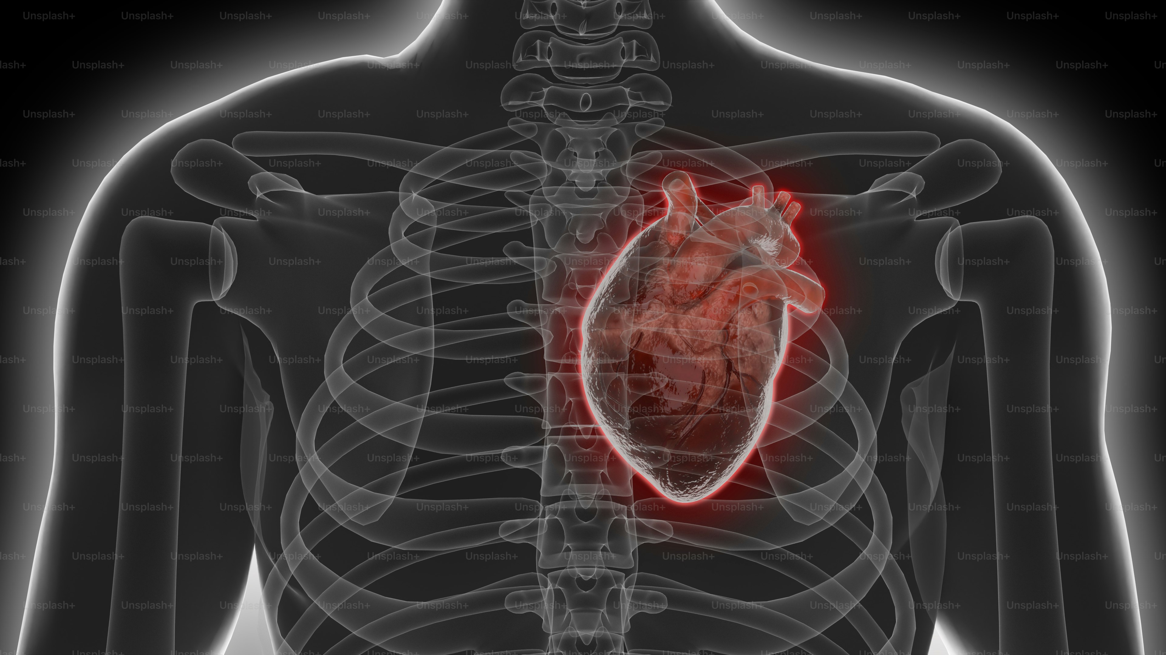 a human body with a heart in the middle of it